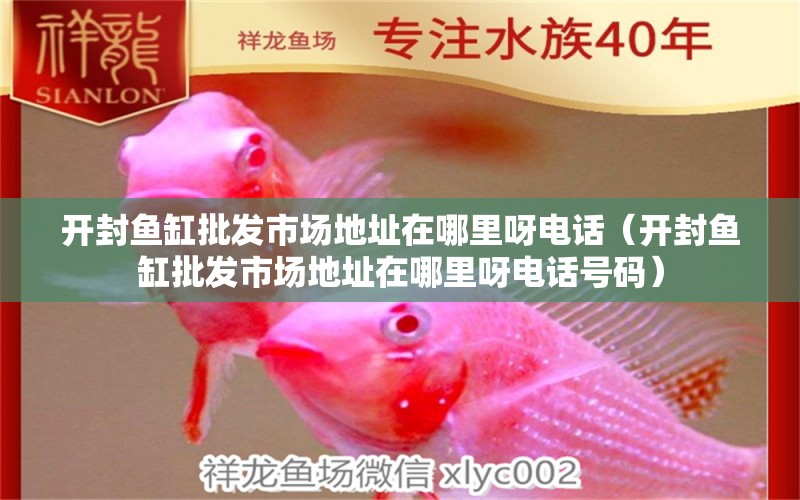 開封魚缸批發(fā)市場地址在哪里呀電話（開封魚缸批發(fā)市場地址在哪里呀電話號碼）