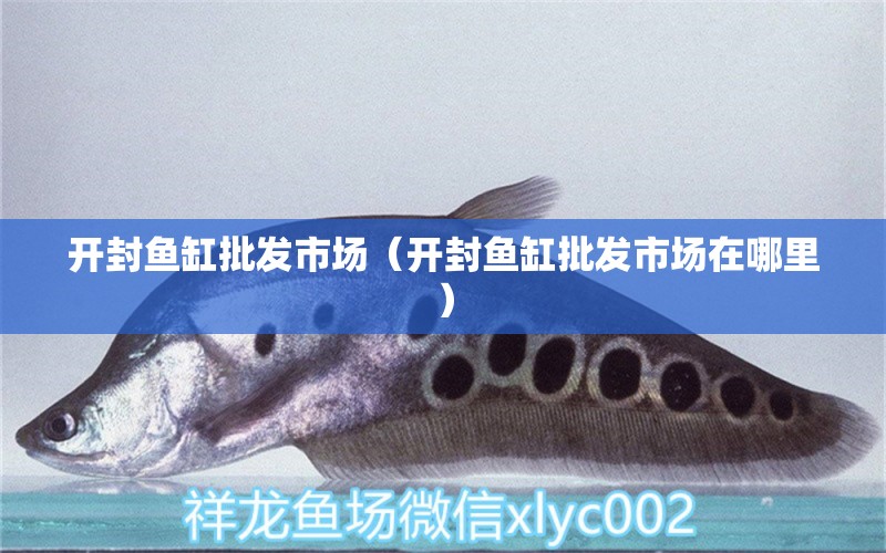 開封魚缸批發(fā)市場（開封魚缸批發(fā)市場在哪里） 觀賞魚水族批發(fā)市場