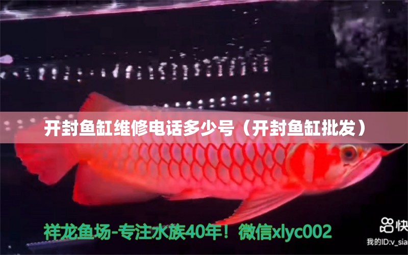 開(kāi)封魚(yú)缸維修電話多少號(hào)（開(kāi)封魚(yú)缸批發(fā)）