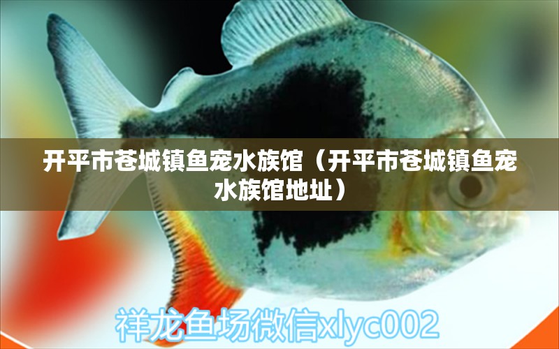 開平市蒼城鎮(zhèn)魚寵水族館（開平市蒼城鎮(zhèn)魚寵水族館地址） 全國水族館企業(yè)名錄