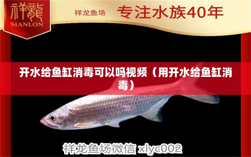 開水給魚缸消毒可以嗎視頻（用開水給魚缸消毒）