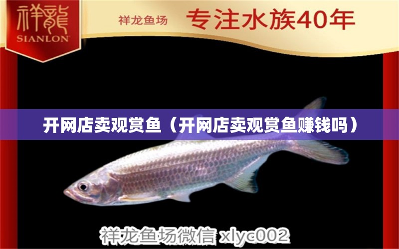 開網(wǎng)店賣觀賞魚（開網(wǎng)店賣觀賞魚賺錢嗎） 網(wǎng)上購買觀賞魚