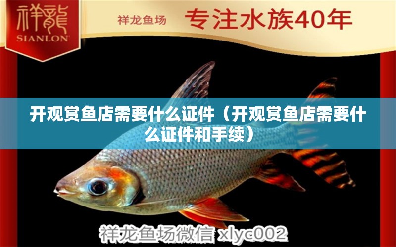 開觀賞魚店需要什么證件（開觀賞魚店需要什么證件和手續(xù)）