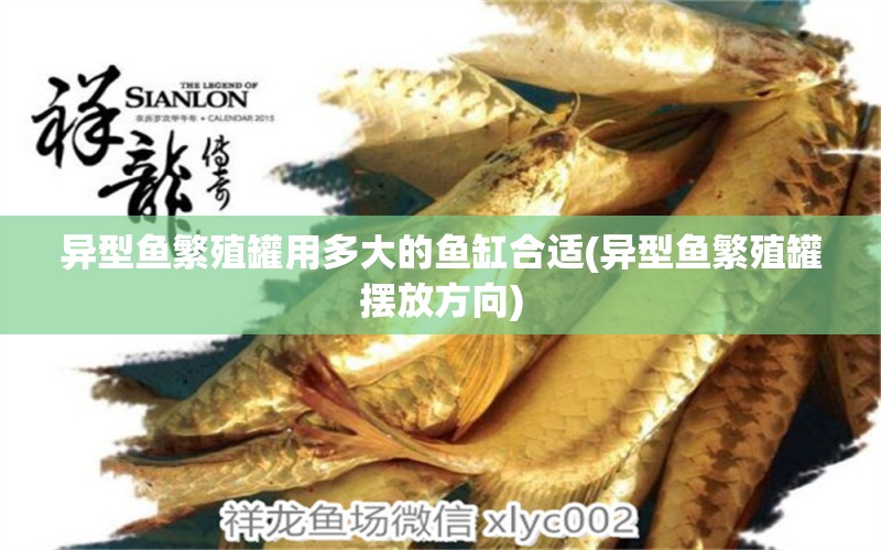 異型魚(yú)繁殖罐用多大的魚(yú)缸合適(異型魚(yú)繁殖罐擺放方向) 七紋巨鯉魚(yú)