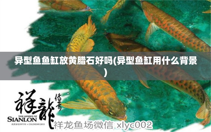 異型魚魚缸放黃臘石好嗎(異型魚缸用什么背景) 潛水泵