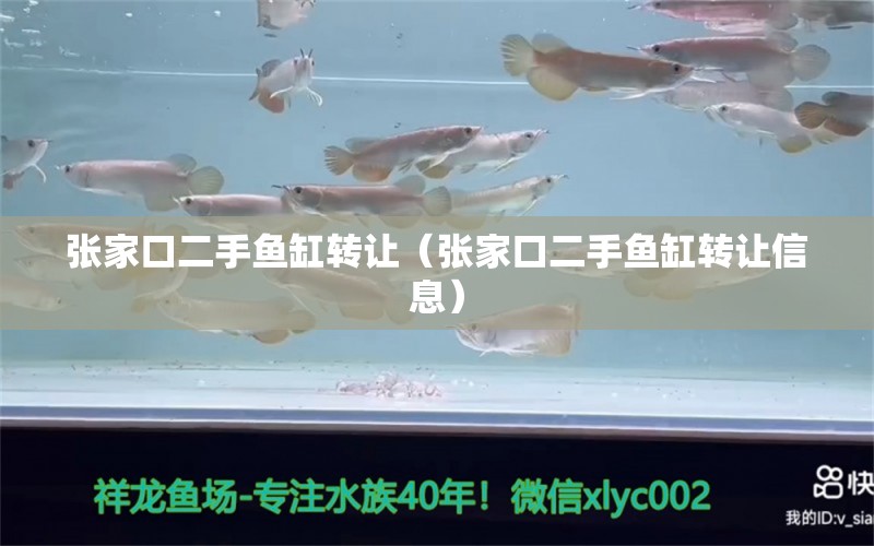 張家口二手魚缸轉(zhuǎn)讓（張家口二手魚缸轉(zhuǎn)讓信息） 青龍魚