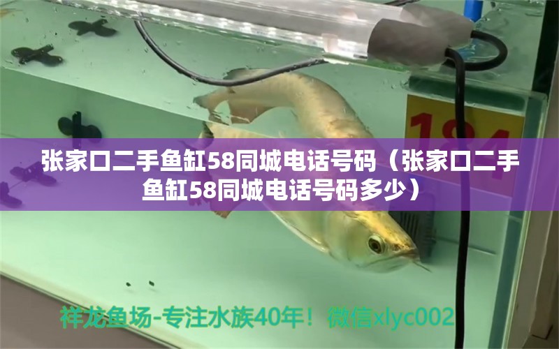 張家口二手魚缸58同城電話號碼（張家口二手魚缸58同城電話號碼多少）