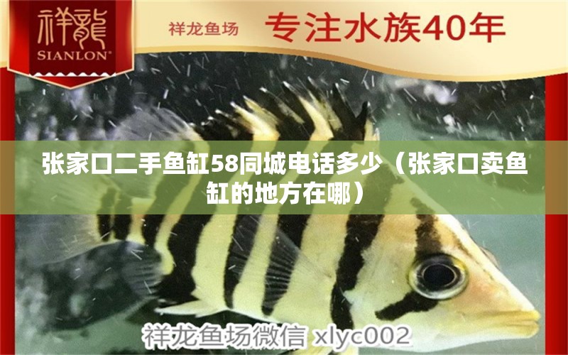 張家口二手魚缸58同城電話多少（張家口賣魚缸的地方在哪）