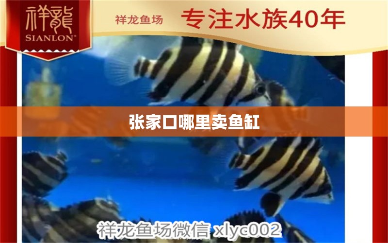 張家口哪里賣魚缸