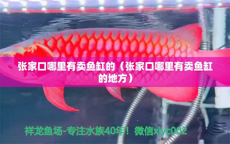 張家口哪里有賣魚缸的（張家口哪里有賣魚缸的地方） 其他品牌魚缸