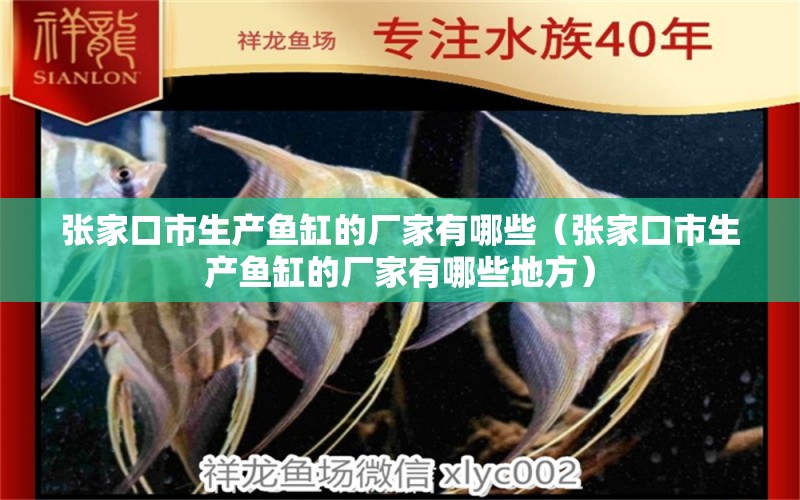 張家口市生產(chǎn)魚缸的廠家有哪些（張家口市生產(chǎn)魚缸的廠家有哪些地方） 其他品牌魚缸