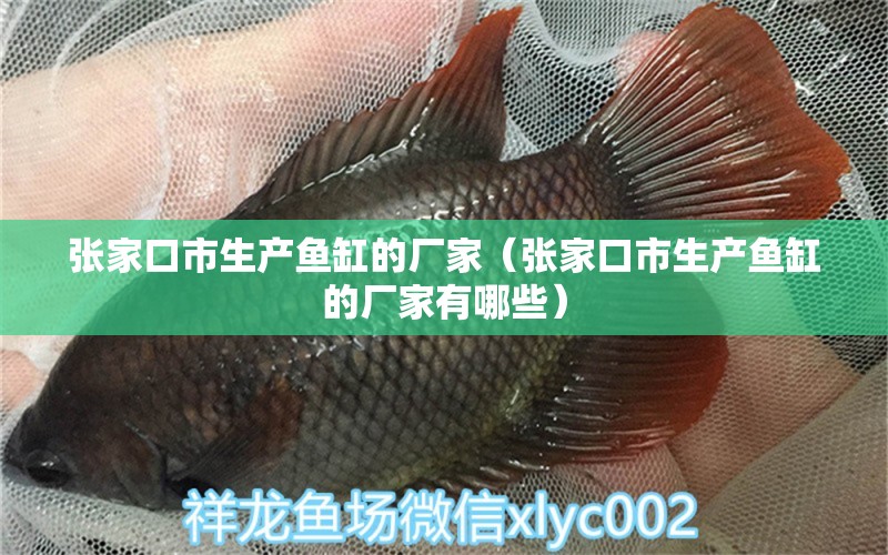 張家口市生產(chǎn)魚缸的廠家（張家口市生產(chǎn)魚缸的廠家有哪些）