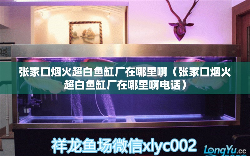 張家口煙火超白魚缸廠在哪里啊（張家口煙火超白魚缸廠在哪里啊電話） 觀賞蝦蟹等飼料