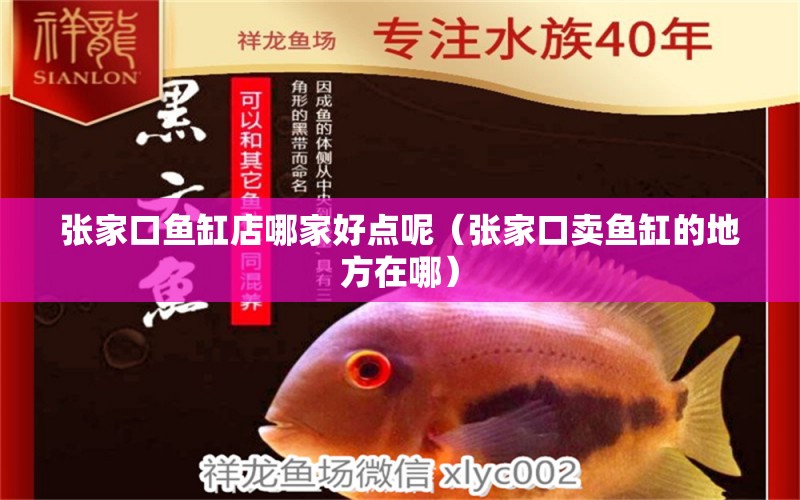 張家口魚缸店哪家好點(diǎn)呢（張家口賣魚缸的地方在哪）