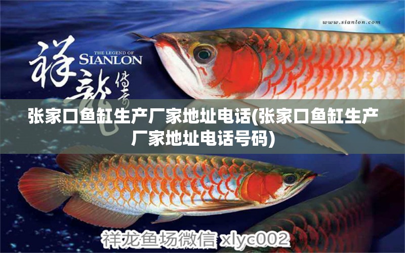 張家口魚缸生產(chǎn)廠家地址電話(張家口魚缸生產(chǎn)廠家地址電話號碼) 小型觀賞魚