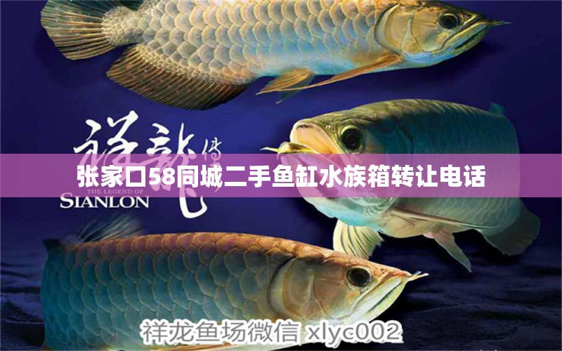 張家口58同城二手魚缸水族箱轉讓電話