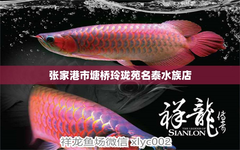 張家港市塘橋玲瓏苑名泰水族店