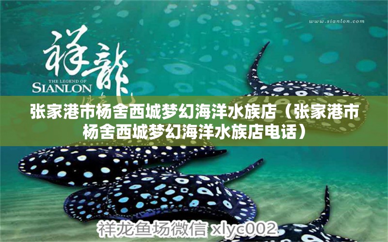 張家港市楊舍西城夢幻海洋水族店（張家港市楊舍西城夢幻海洋水族店電話）