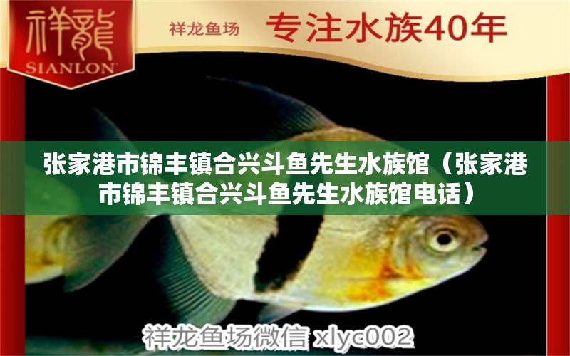 張家港市錦豐鎮(zhèn)合興斗魚先生水族館（張家港市錦豐鎮(zhèn)合興斗魚先生水族館電話） 全國水族館企業(yè)名錄