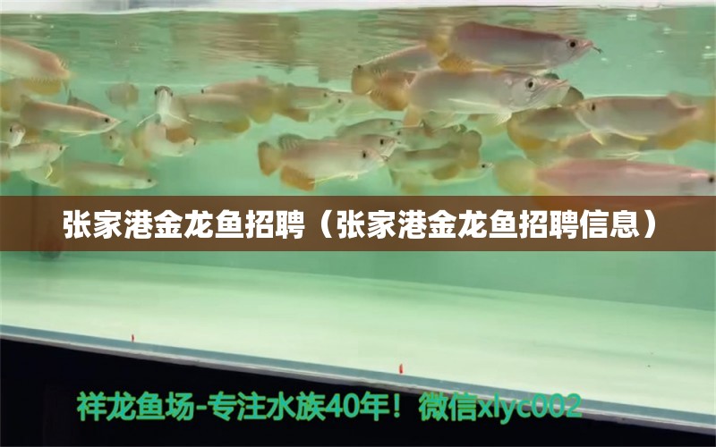 張家港金龍魚招聘（張家港金龍魚招聘信息） 祥龍水族醫(yī)院