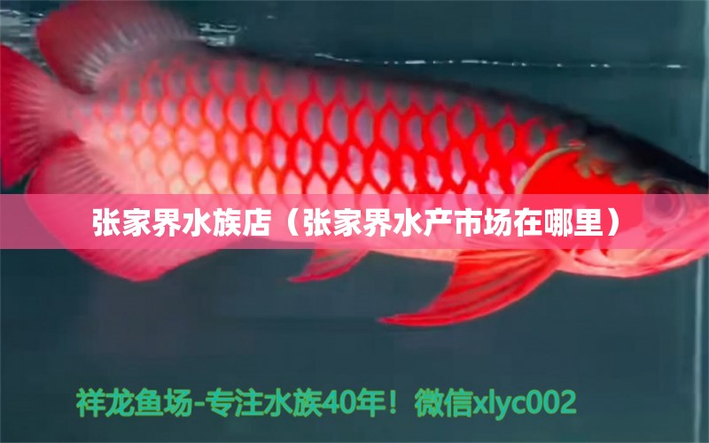 張家界水族店（張家界水產(chǎn)市場(chǎng)在哪里）