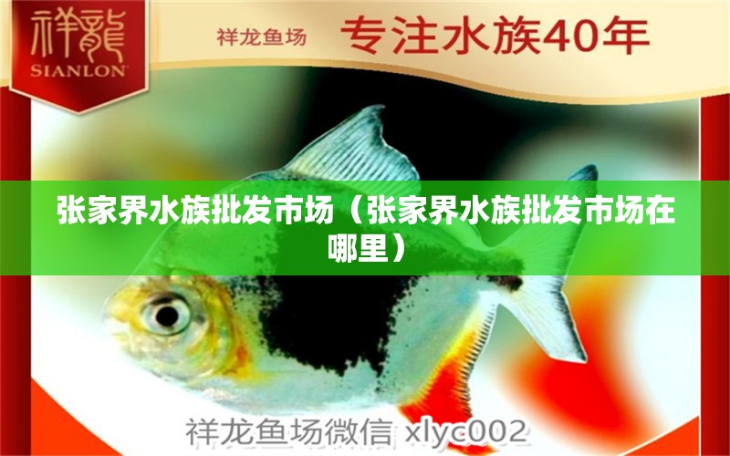 張家界水族批發(fā)市場(chǎng)（張家界水族批發(fā)市場(chǎng)在哪里）