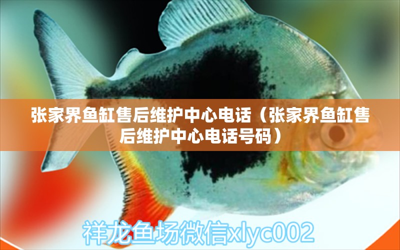 張家界魚(yú)缸售后維護(hù)中心電話（張家界魚(yú)缸售后維護(hù)中心電話號(hào)碼）