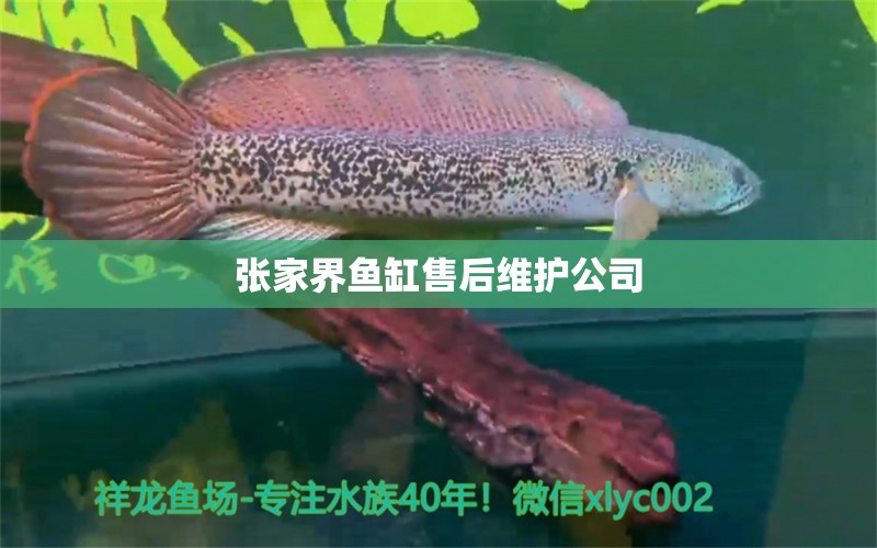 張家界魚缸售后維護(hù)公司 其他品牌魚缸