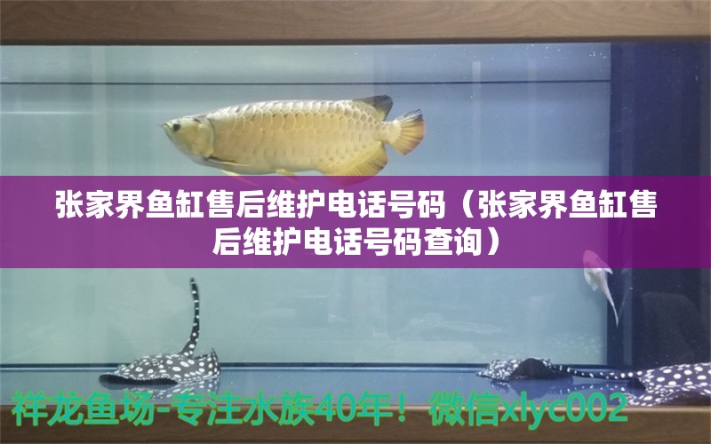 張家界魚(yú)缸售后維護(hù)電話號(hào)碼（張家界魚(yú)缸售后維護(hù)電話號(hào)碼查詢）