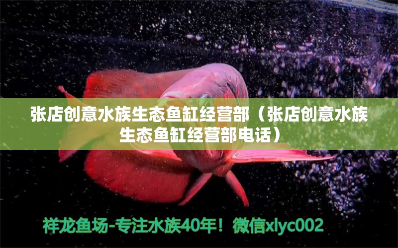 張店創(chuàng)意水族生態(tài)魚缸經(jīng)營部（張店創(chuàng)意水族生態(tài)魚缸經(jīng)營部電話） 全國水族館企業(yè)名錄