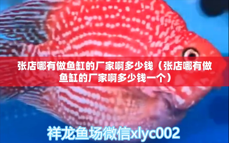 張店哪有做魚缸的廠家啊多少錢（張店哪有做魚缸的廠家啊多少錢一個(gè)） 白玉紅龍魚