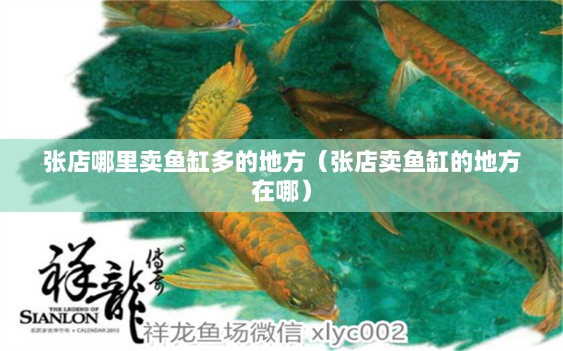 張店哪里賣魚缸多的地方（張店賣魚缸的地方在哪） 水族主題相關(guān)