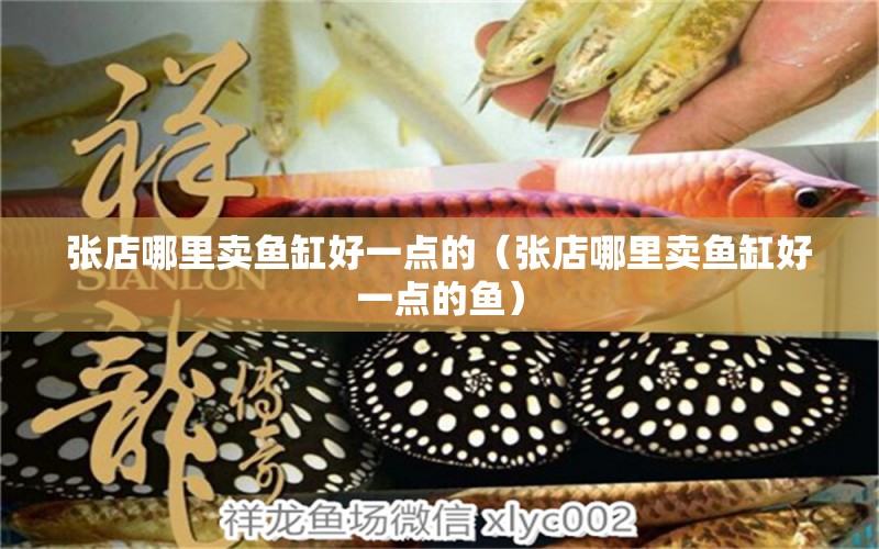 張店哪里賣(mài)魚(yú)缸好一點(diǎn)的（張店哪里賣(mài)魚(yú)缸好一點(diǎn)的魚(yú)）