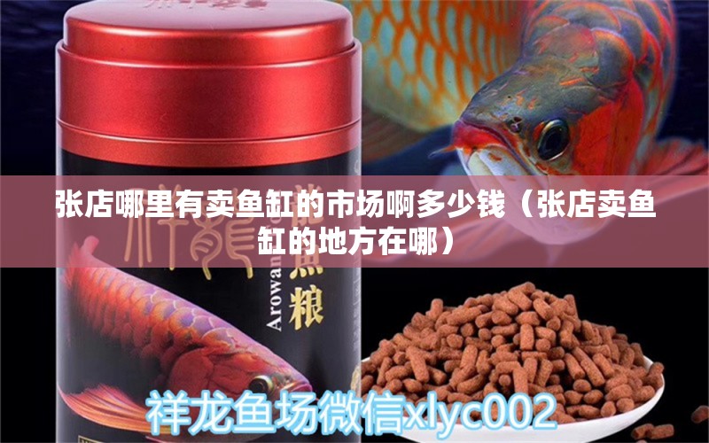 張店哪里有賣魚缸的市場(chǎng)啊多少錢（張店賣魚缸的地方在哪） 量子養(yǎng)魚技術(shù)