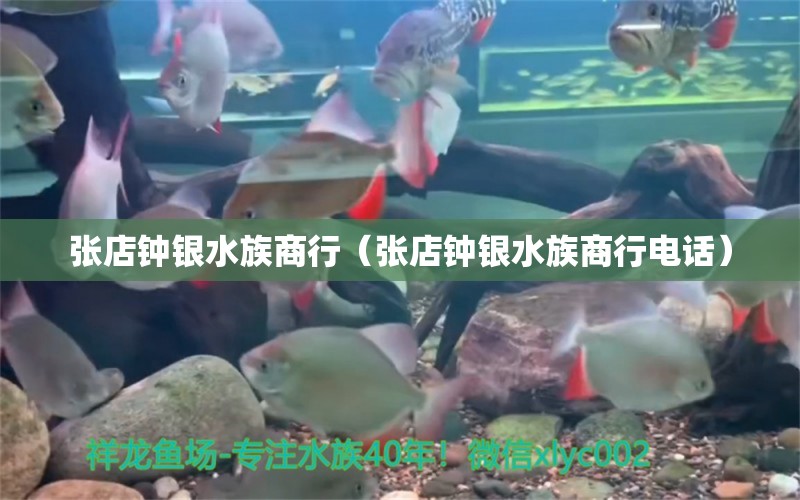 張店鐘銀水族商行（張店鐘銀水族商行電話）