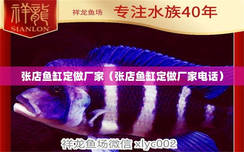 張店魚缸定做廠家（張店魚缸定做廠家電話） 其他品牌魚缸