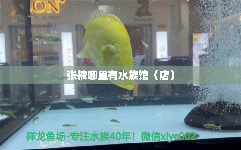 張掖哪里有水族館（店） 觀賞魚水族批發(fā)市場