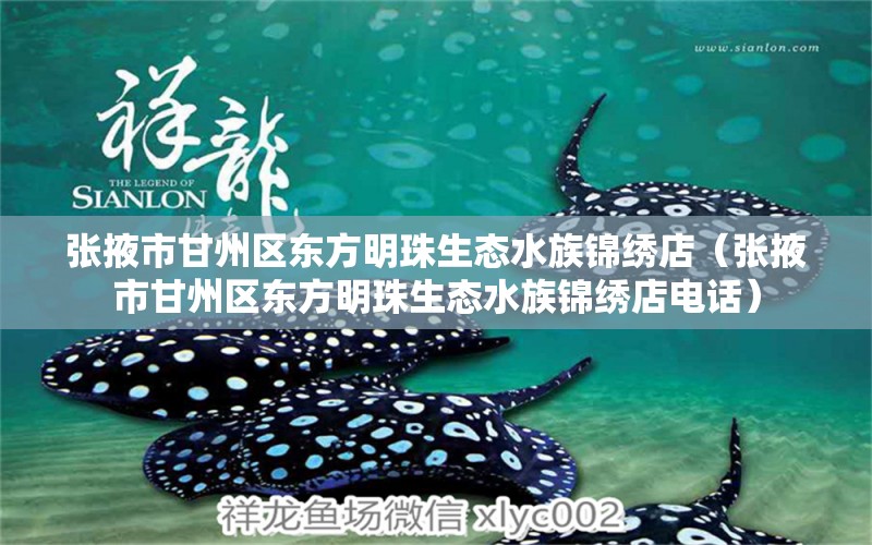 張掖市甘州區(qū)東方明珠生態(tài)水族錦繡店（張掖市甘州區(qū)東方明珠生態(tài)水族錦繡店電話(huà)）