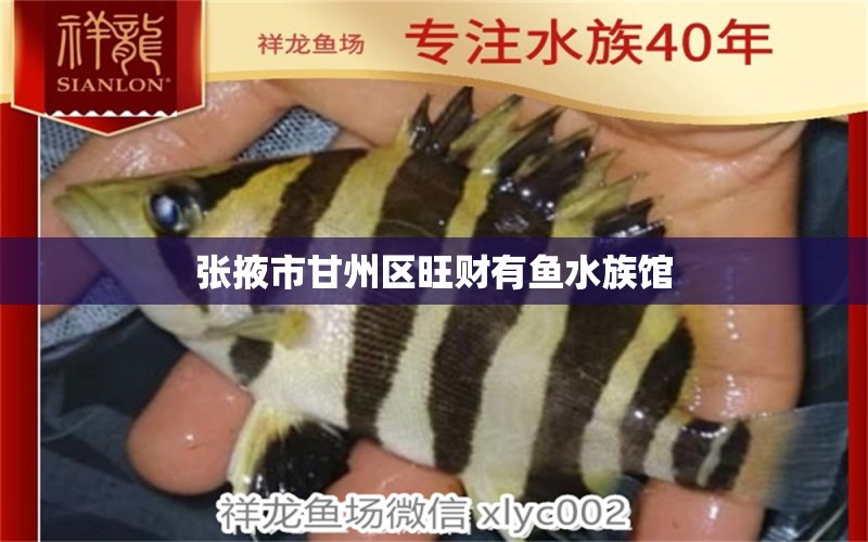 張掖市甘州區(qū)旺財(cái)有魚水族館 全國(guó)水族館企業(yè)名錄