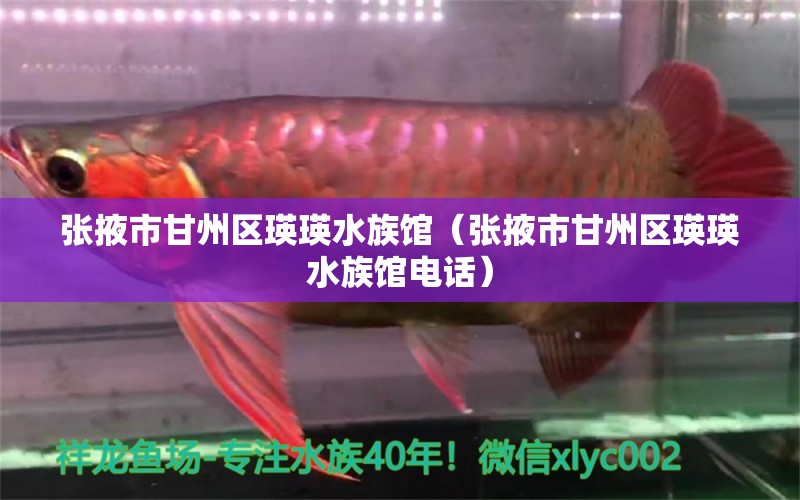 張掖市甘州區(qū)瑛瑛水族館（張掖市甘州區(qū)瑛瑛水族館電話） 全國水族館企業(yè)名錄