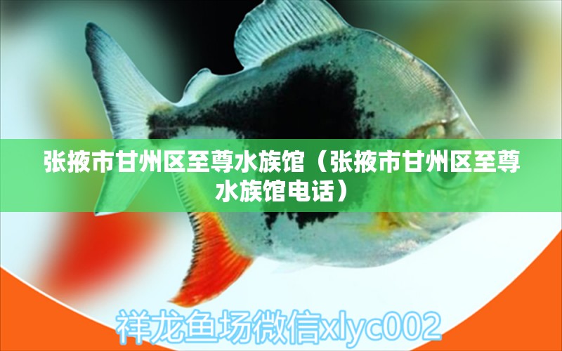 張掖市甘州區(qū)至尊水族館（張掖市甘州區(qū)至尊水族館電話）