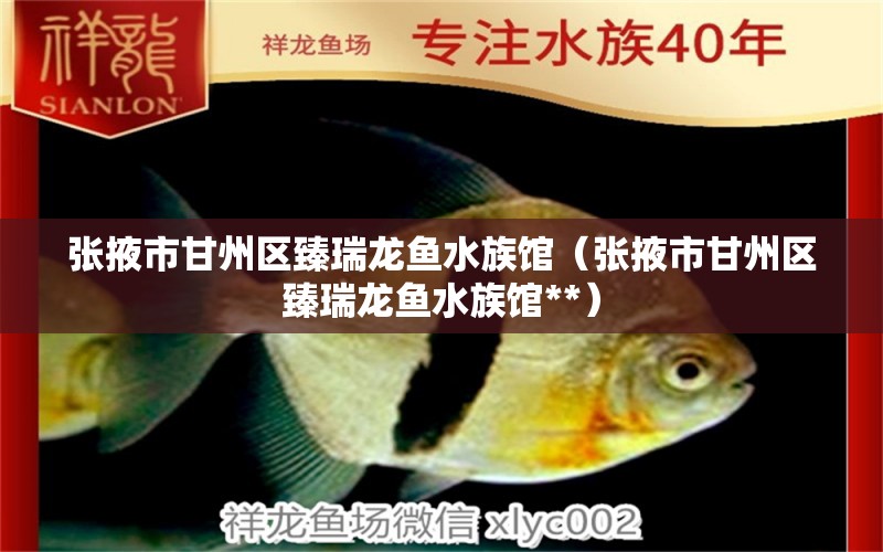 張掖市甘州區(qū)臻瑞龍魚水族館（張掖市甘州區(qū)臻瑞龍魚水族館**）