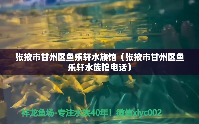 張掖市甘州區(qū)魚樂軒水族館（張掖市甘州區(qū)魚樂軒水族館電話） 全國水族館企業(yè)名錄