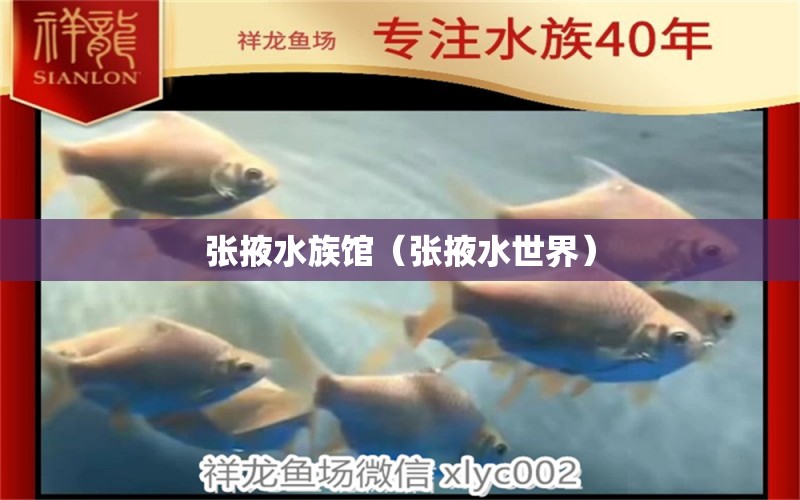 張掖水族館（張掖水世界） 紅老虎魚 第1張