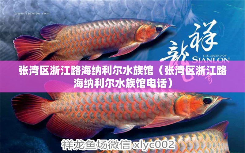 張灣區(qū)浙江路海納利爾水族館（張灣區(qū)浙江路海納利爾水族館電話） 全國水族館企業(yè)名錄