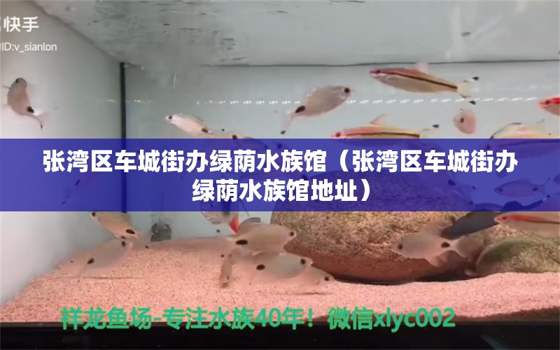 張灣區(qū)車城街辦綠蔭水族館（張灣區(qū)車城街辦綠蔭水族館地址） 全國(guó)水族館企業(yè)名錄