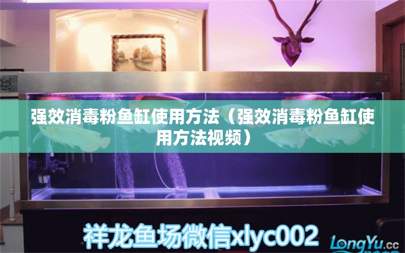 強效消毒粉魚缸使用方法（強效消毒粉魚缸使用方法視頻） 祥龍龍魚專用水族燈