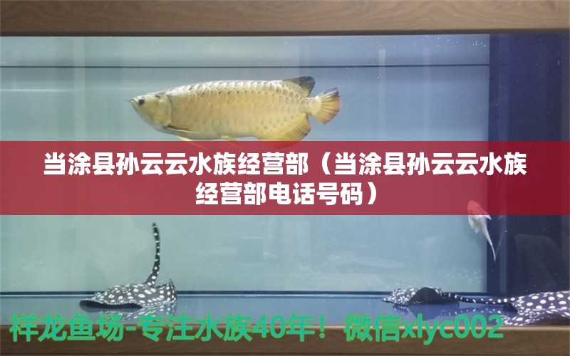 當(dāng)涂縣孫云云水族經(jīng)營(yíng)部（當(dāng)涂縣孫云云水族經(jīng)營(yíng)部電話號(hào)碼）