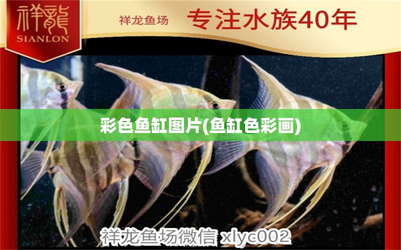 彩色魚缸圖片(魚缸色彩畫) 狗仔（招財貓)魚苗 第1張