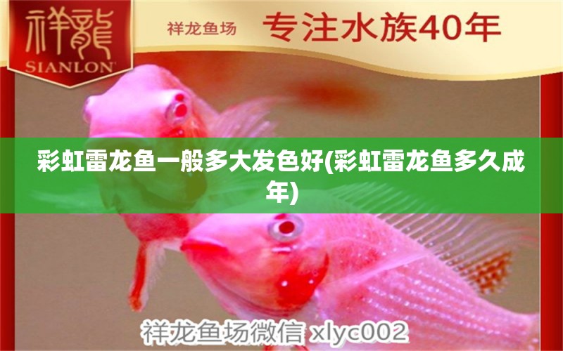 彩虹雷龍魚一般多大發(fā)色好(彩虹雷龍魚多久成年) 水族燈（魚缸燈）